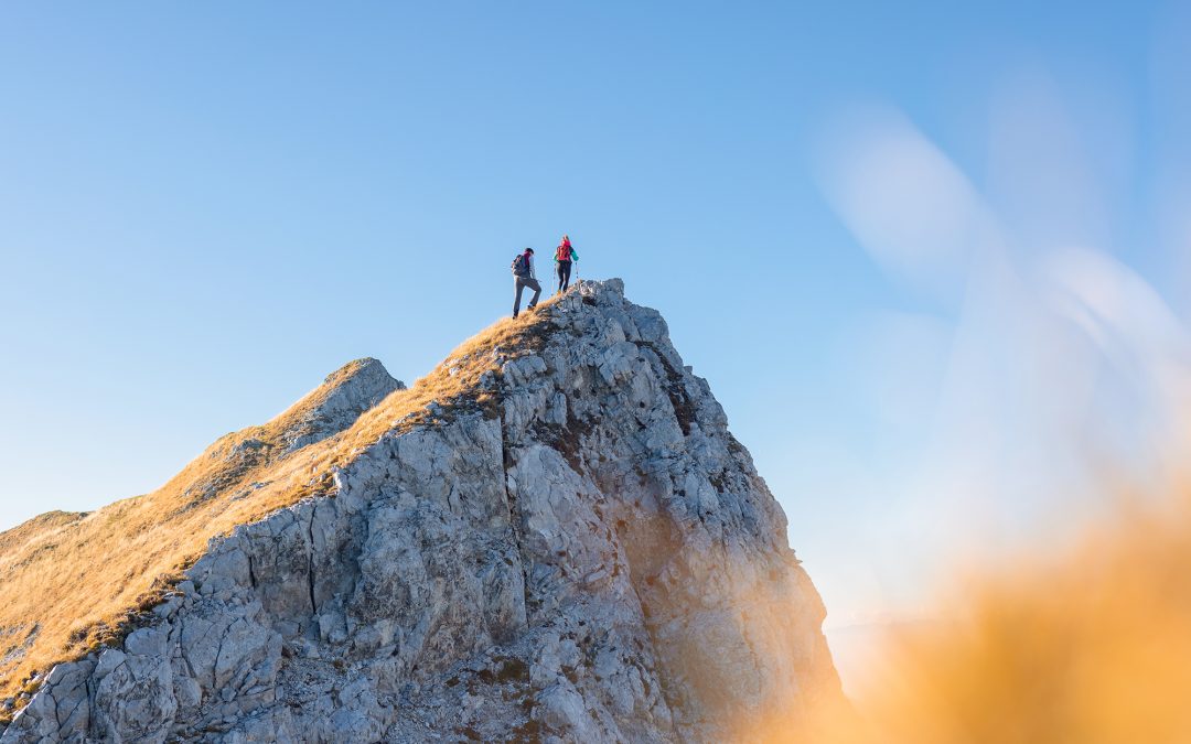 2026 Market outlook – themes, opportunities, concerns